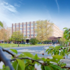 Measures of VŠE following released restrictive measures in the field of higher education during the examination period