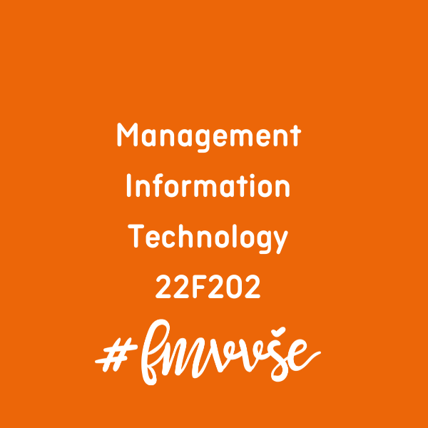 Management Information Technology (22F202)