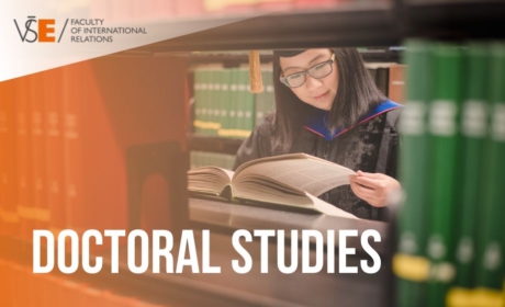 Support for Excellence in Doctoral Study Programmes for the academic year 2024/25